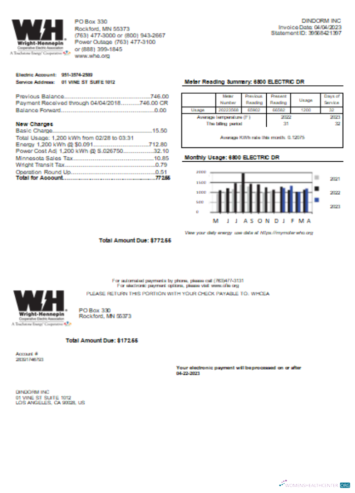Download Wright Hennepin Cooperative Electric Association utility business bill, SCR Photoshop template